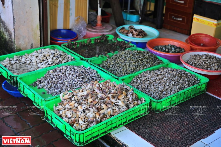 Vũng Tàu - nơi biển xanh vẫy gọi